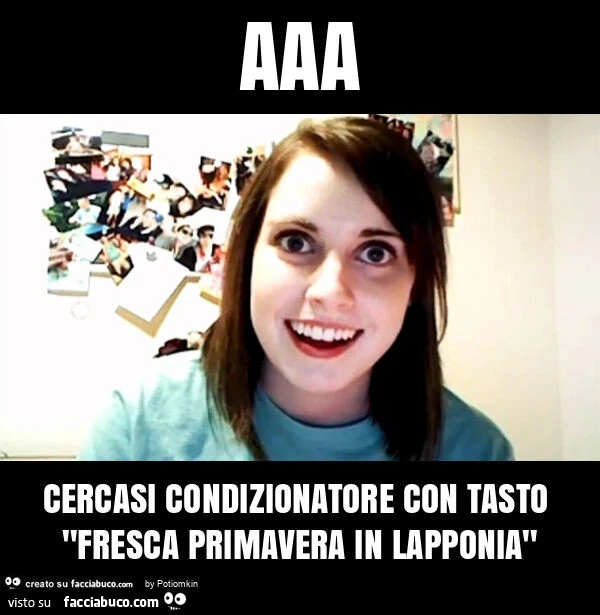Aaa cercasi condizionatore con tasto "fresca primavera in lapponia"