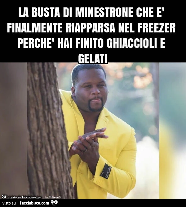 La busta di minestrone che è finalmente riapparsa nel freezer perchè hai finito ghiaccioli e gelati