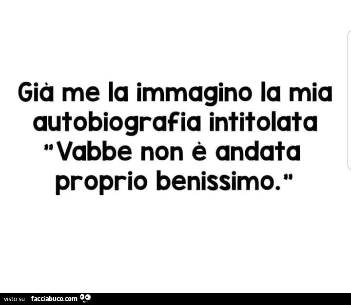 Già me la immagino la mia autobiografia intitolata vabbe non è andata proprio benissimo