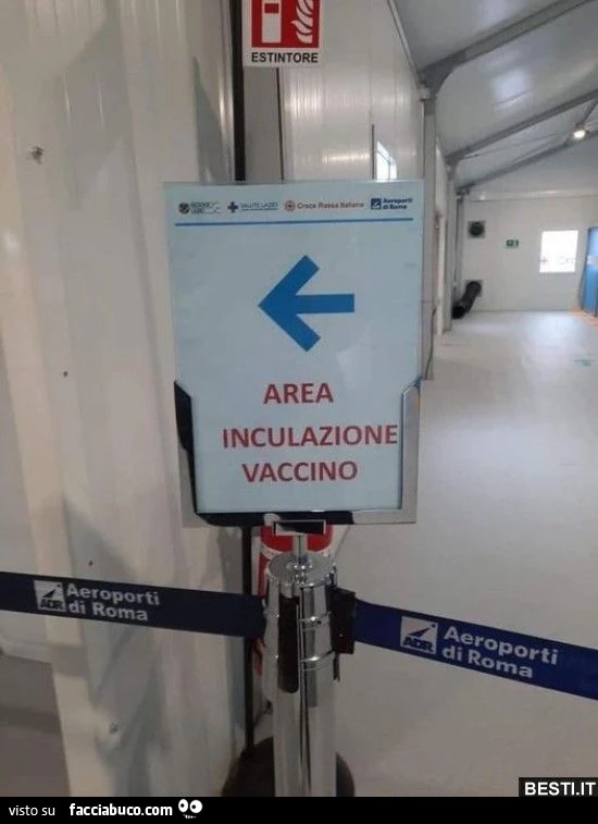 Vaccata