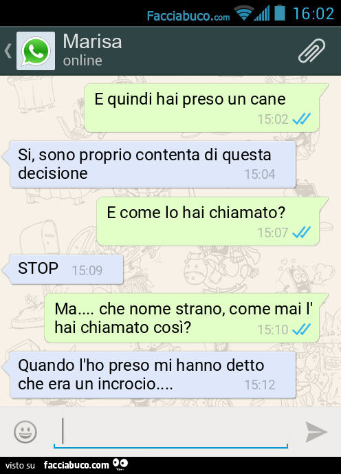 E quindi hai preso un cane. Si, sono proprio contenta di questa decisione. E come lo hai chiamato? STOP. Ma&hellip; che nome strano, come mai l'hai chiamato così? Quando l'ho preso mi hanno detto che era un incrocio