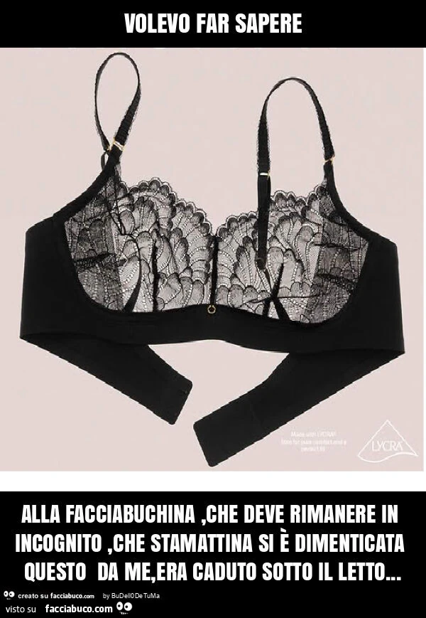Volevo far sapere alla facciabuchina, che deve rimanere in incognito, che stamattina si è dimenticata questo da me, era caduto sotto il letto
