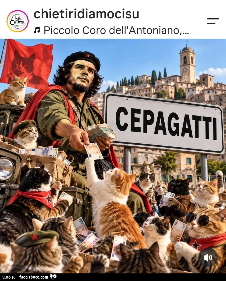 Vaccata