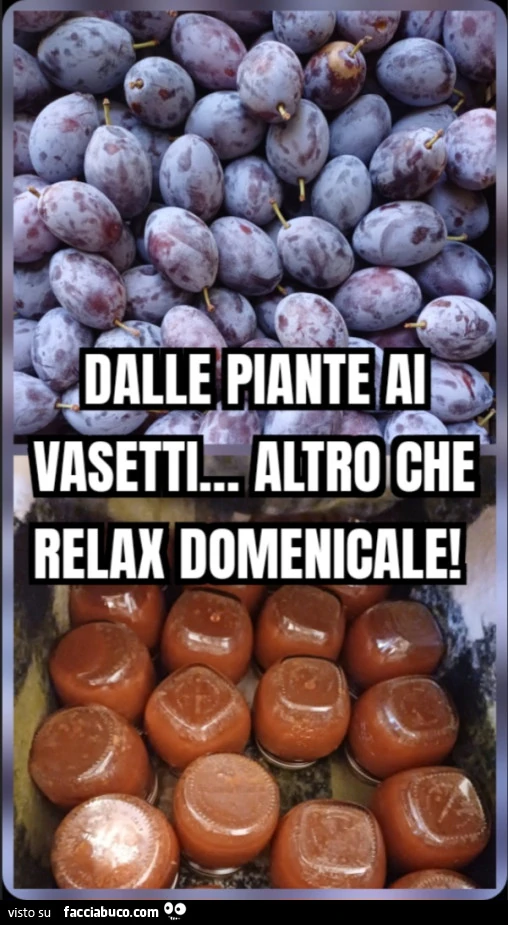 Dalle piante ai vasetti&hellip; altro che relax domenicale