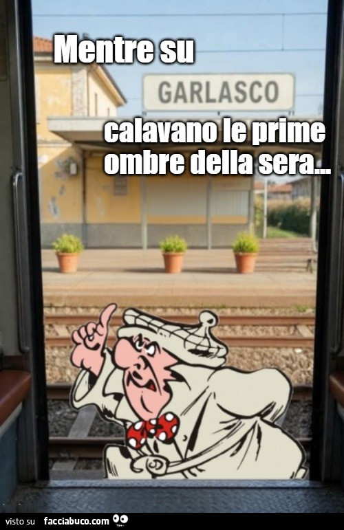 Vaccata