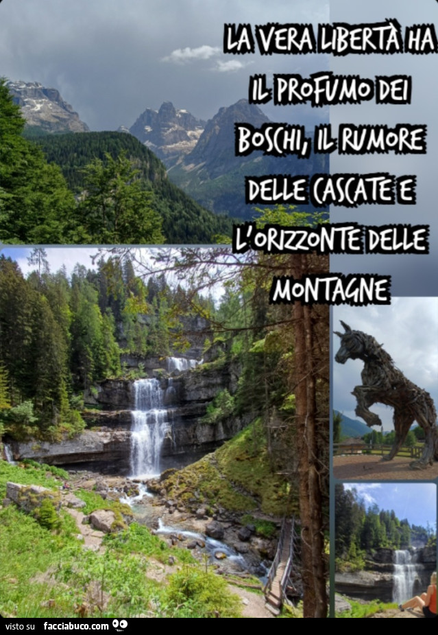La vera libertà ha il profumo dei boschi, il rumore delle cascate e l'orizzonte delle montagne