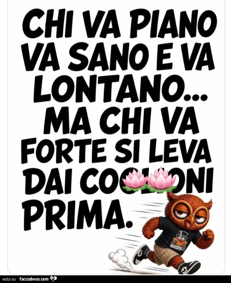 Veloci