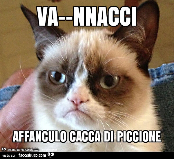 Vaccata