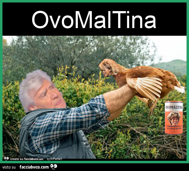 Ovomaltina