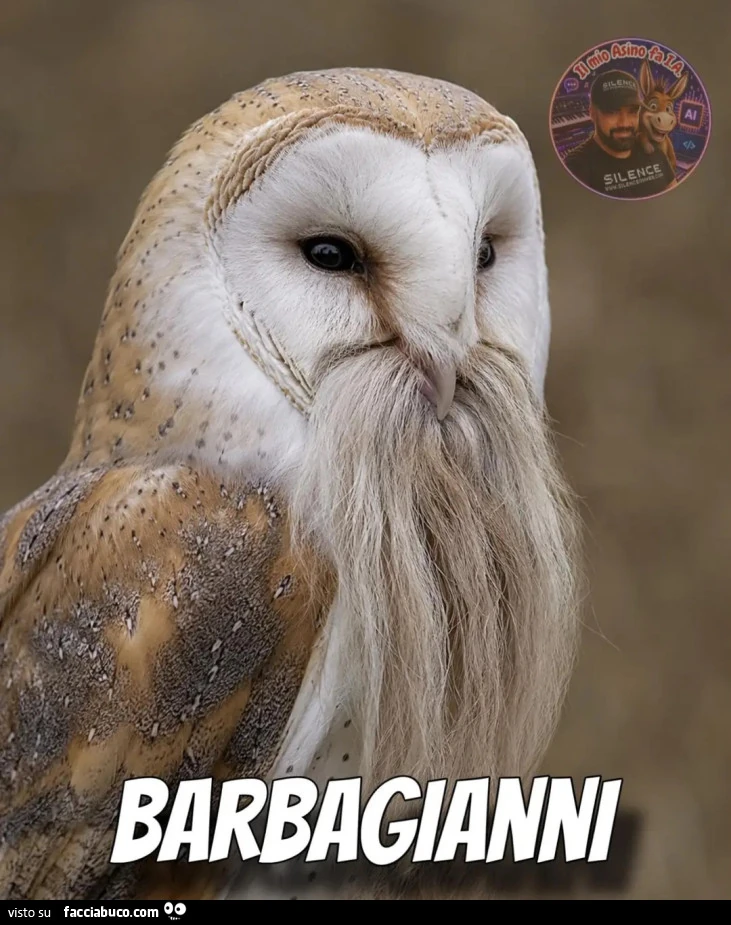 Barba
