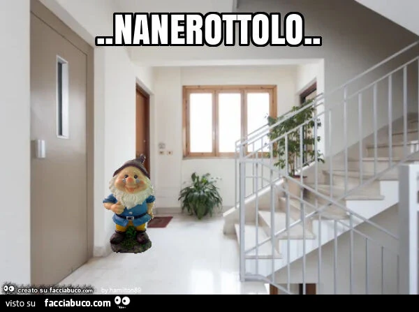Nanerottolo