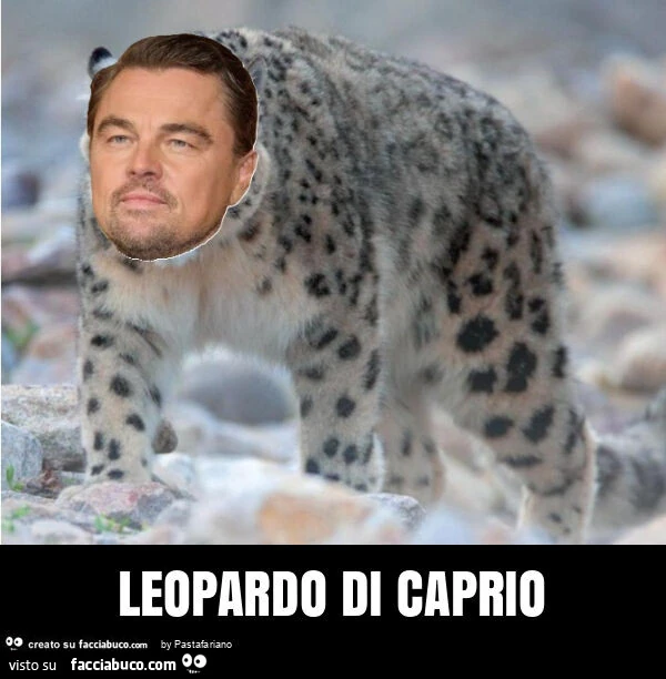 Leopardo di caprio