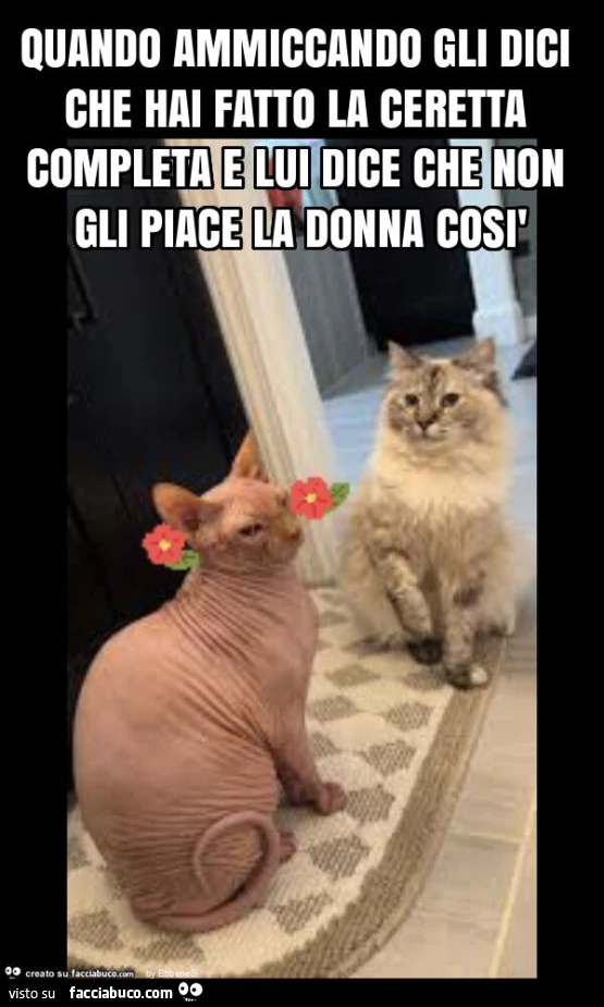 Quando ammiccando gli dici che hai fatto la ceretta completa e lui dice che non gli piace la donna così
