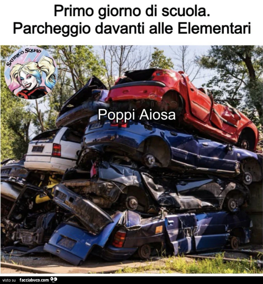 Vaccata