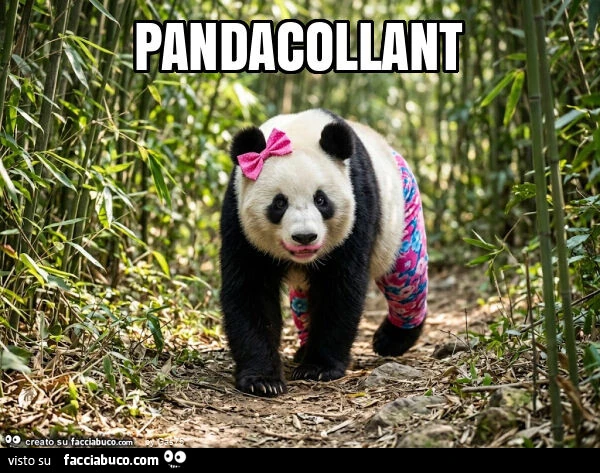 Pandacollant