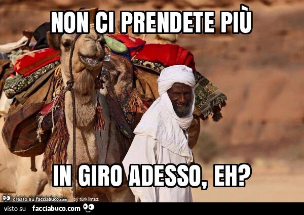 Non ci prendete più in giro adesso, eh?