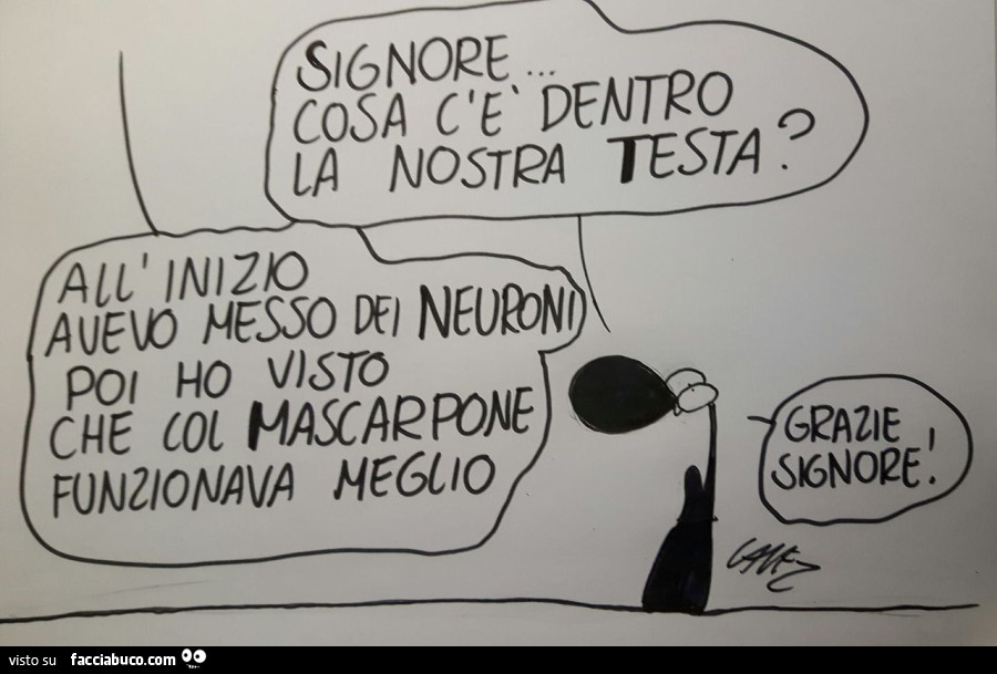 Vaccata