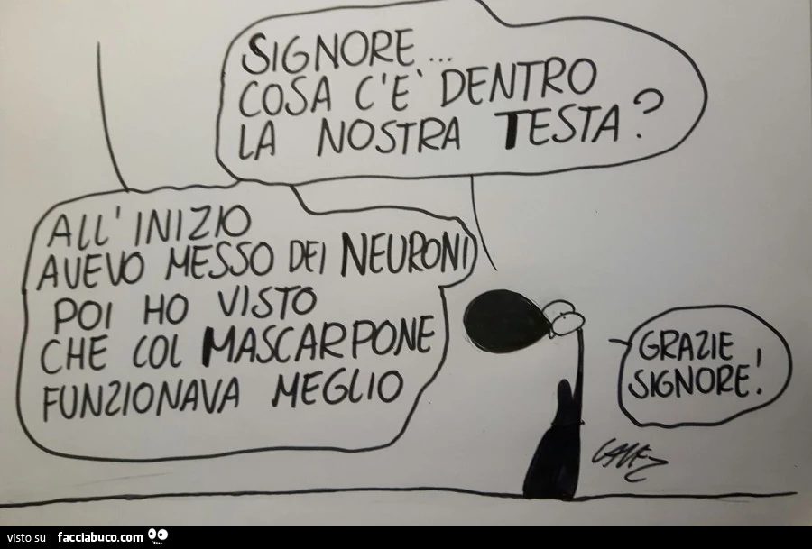 Vaccata