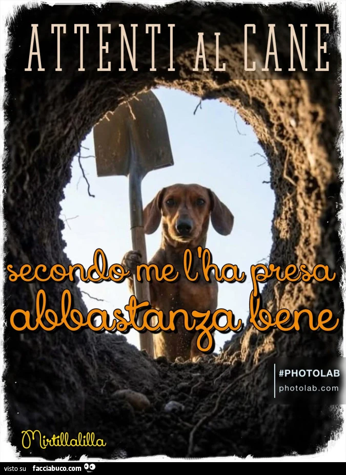 Attenti al cane