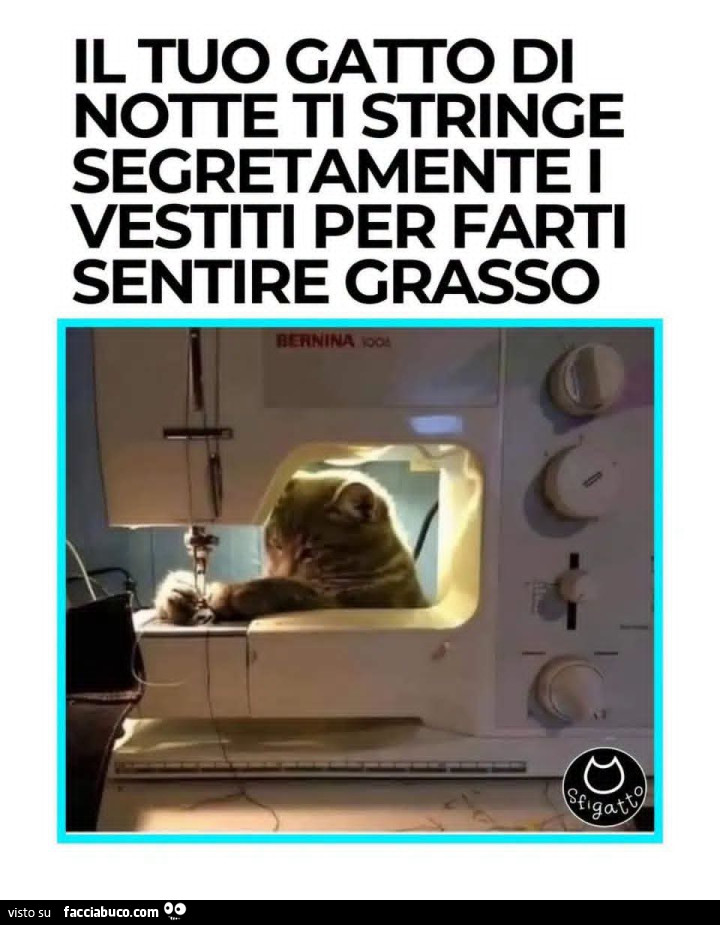 Vaccata
