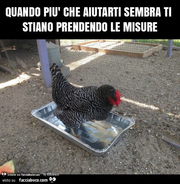 Quando più che aiutarti sembra ti stiano prendendo le misure