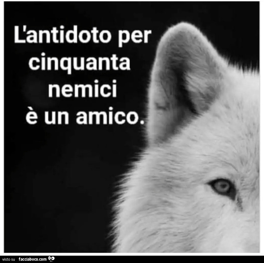 L'antidoto per 50 nemici è un amico