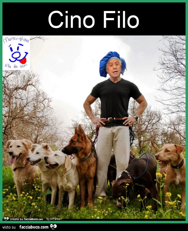 Cino filo