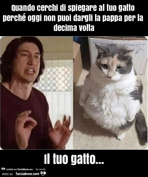 Quando cerchi di spiegare al tuo gatto perchรฉ oggi non puoi dargli la pappa per la decima volta il tuo gatto…
