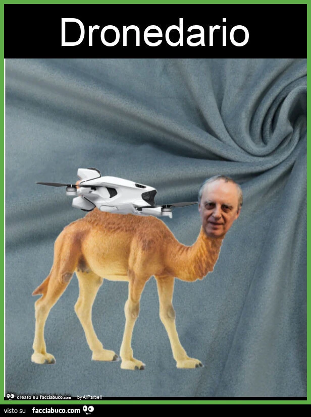 Dronedario