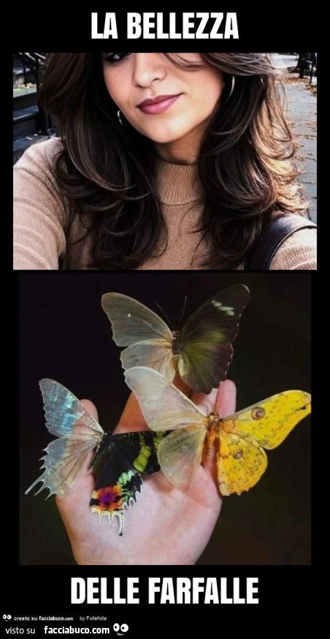 La bellezza delle farfalle