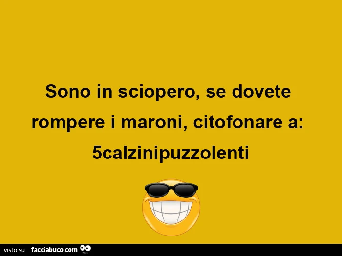 Sono in sciopero, se dovete rompere i maroni, citofonare a: 5calzinipuzzolenti
