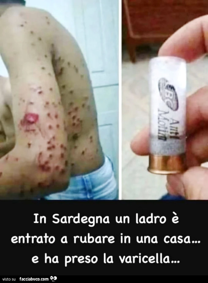 Vaccata