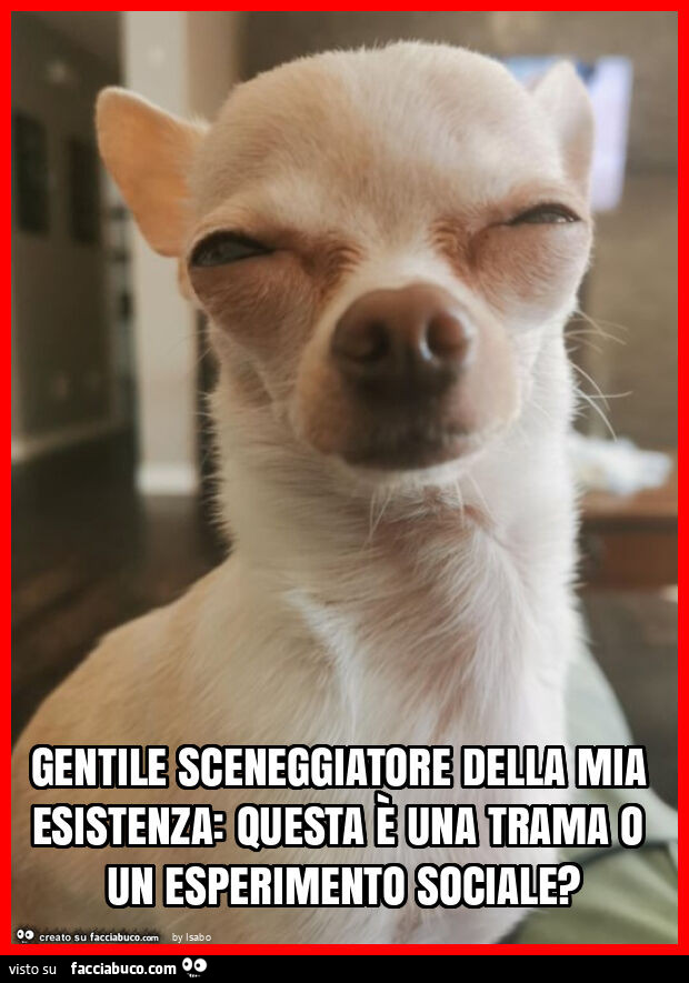 Gentile sceneggiatore della mia esistenza: questa è una trama o un esperimento sociale?