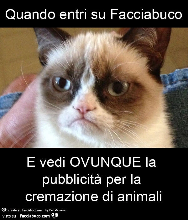 Quando entri su facciabuco e vedi ovunque la pubblicità per la cremazione di animali