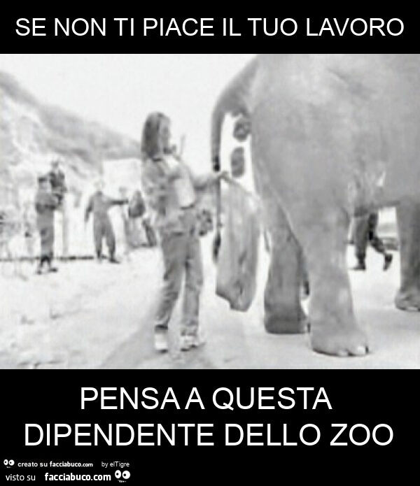 Se non ti piace il tuo lavoro pensa a questa dipendente dello zoo