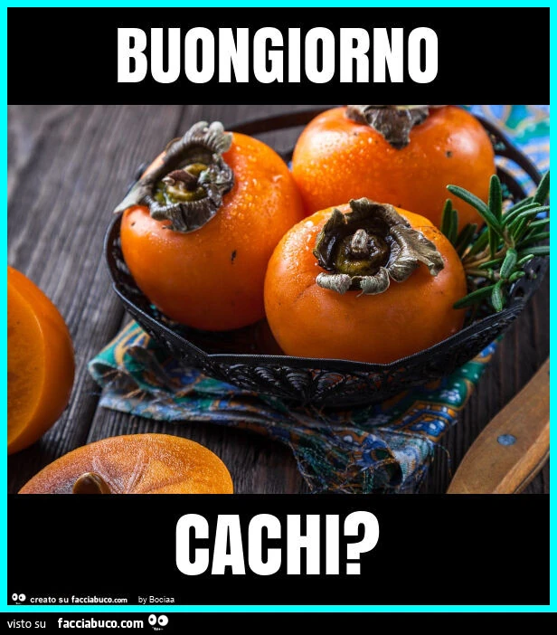 Buongiorno cachi?
