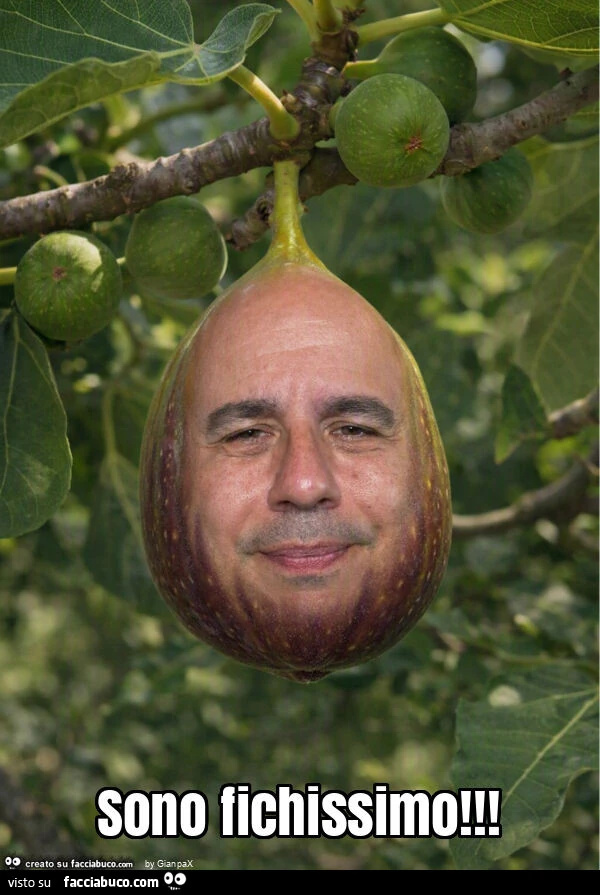 Sono fichissimo