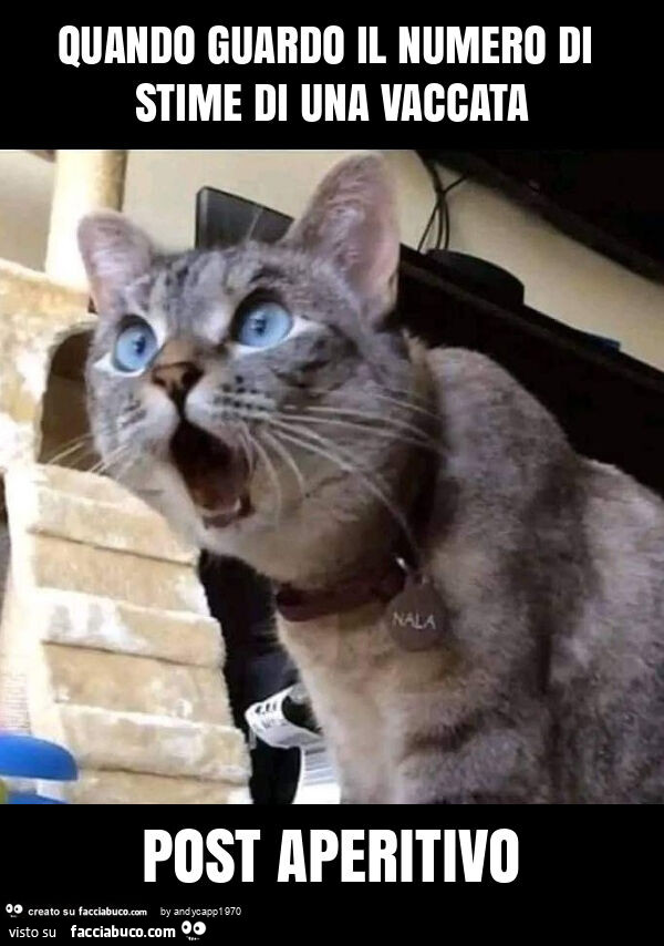 Quando guardo il numero di stime di una vaccata post aperitivo