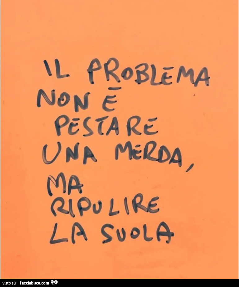 Il problema non è pestare una merda ma ripulire la suola