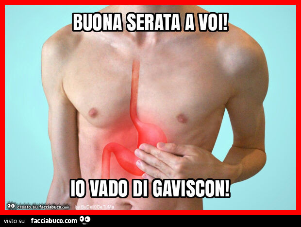 Buona serata a voi! Io vado di gaviscon