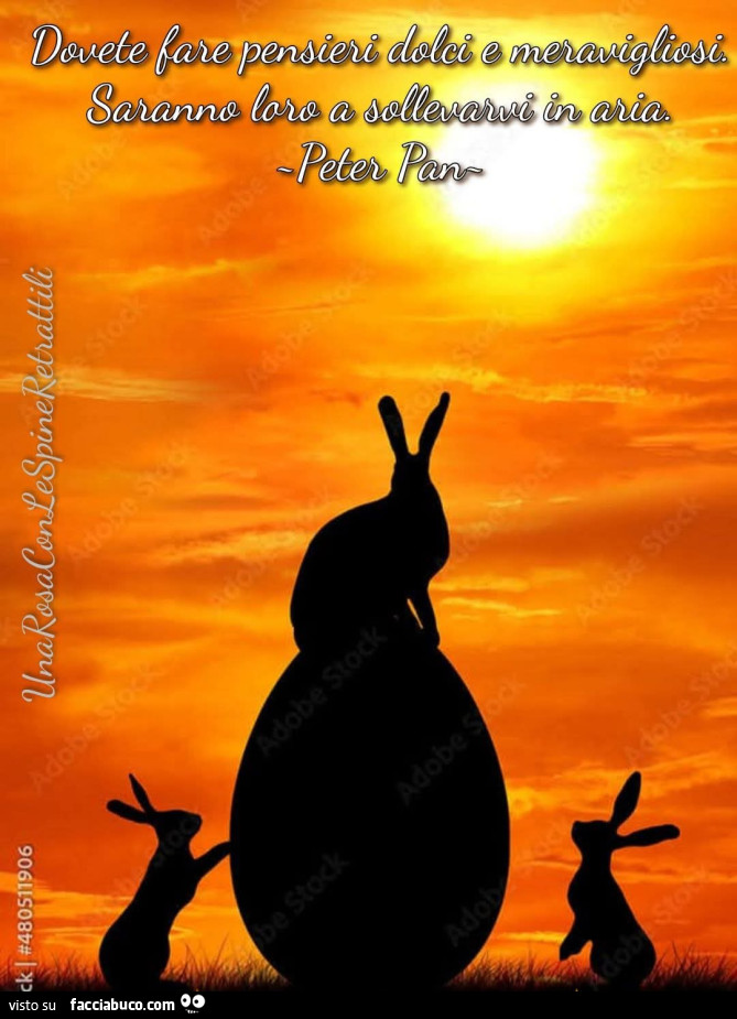 Dovete fare pensieri dolci e meravigliosi. Saranno loro a sollevarvi in aria. Peter Pan