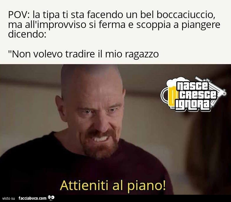 Vaccata
