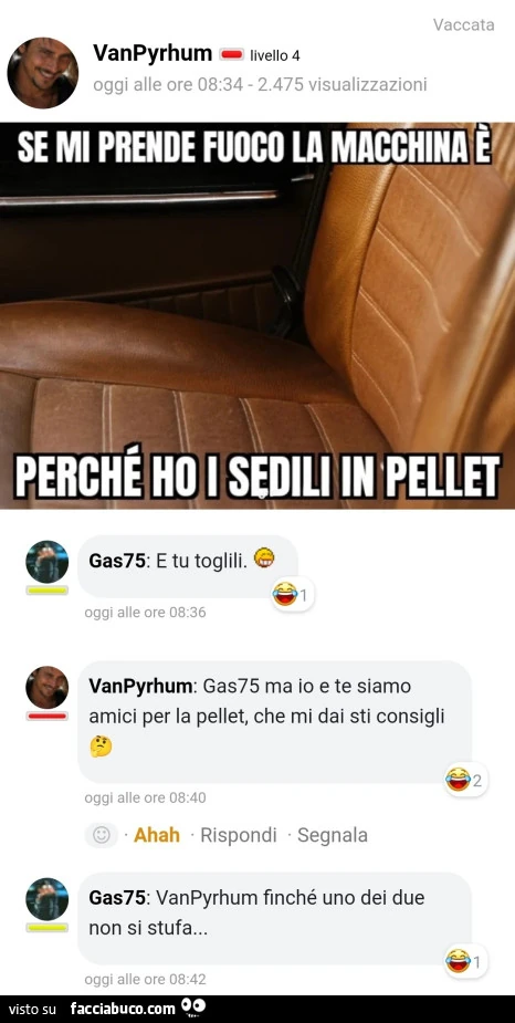 Vaccata