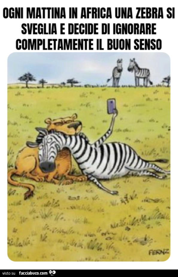 Ogni mattina in Africa una zebra si sveglia e decide di ignorare completamente il buon senso