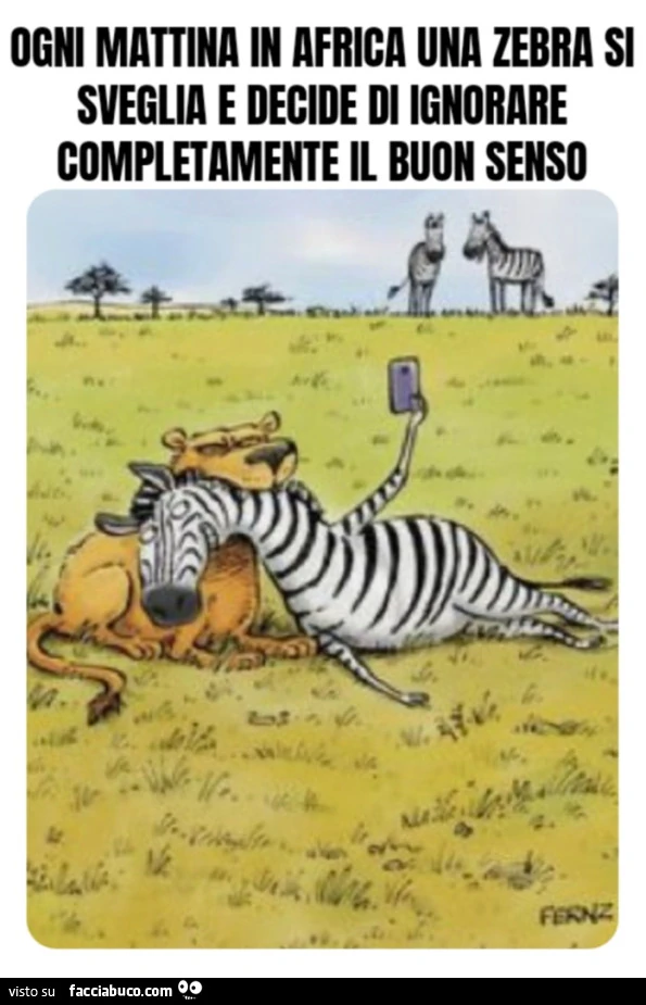 Ogni mattina in Africa una zebra si sveglia e decide di ignorare completamente il buon senso