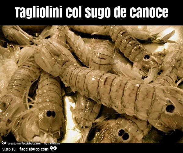 Tagliolini col sugo de canoce