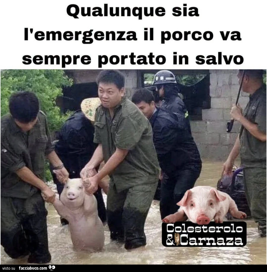 Vaccata