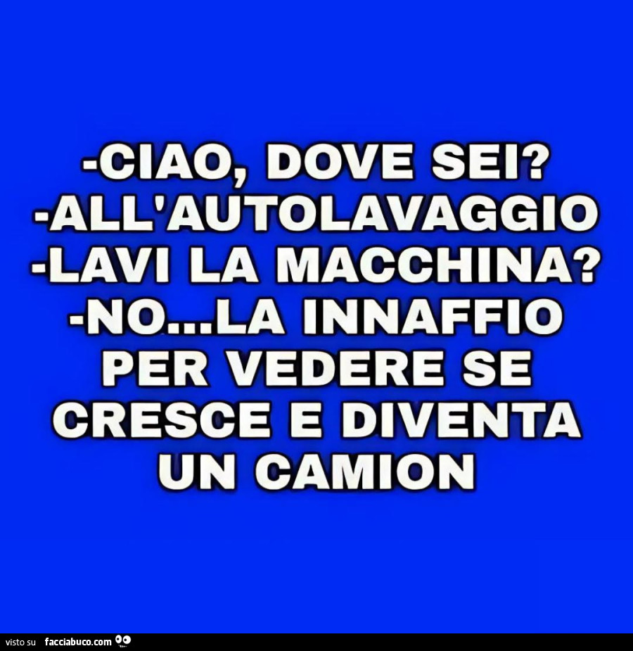 Vaccata