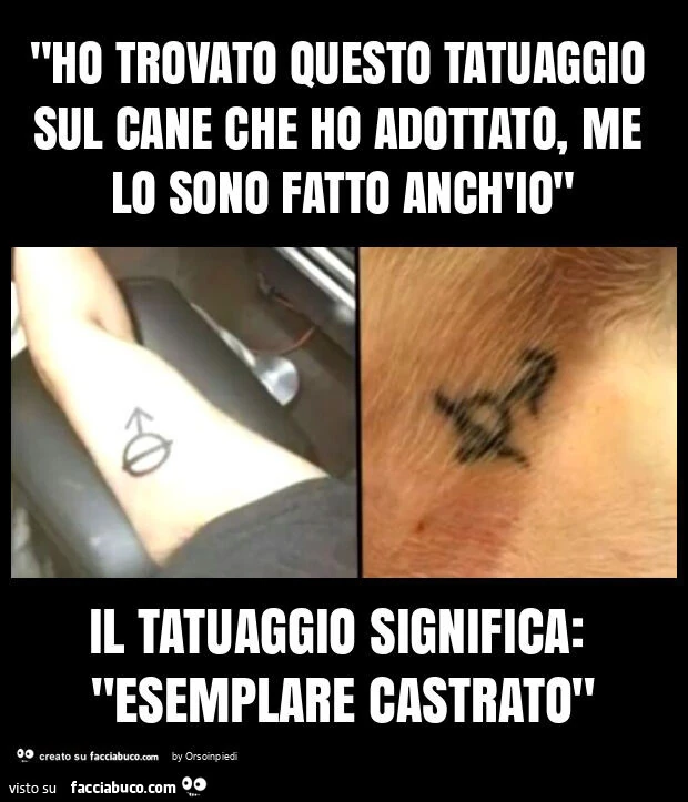 "ho trovato questo tatuaggio sul cane che ho adottato, me lo sono fatto anch'io" il tatuaggio significa: "esemplare castrato"