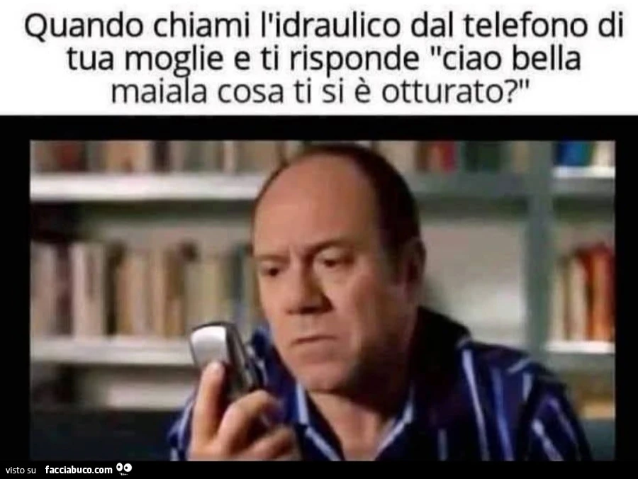 Vaccata